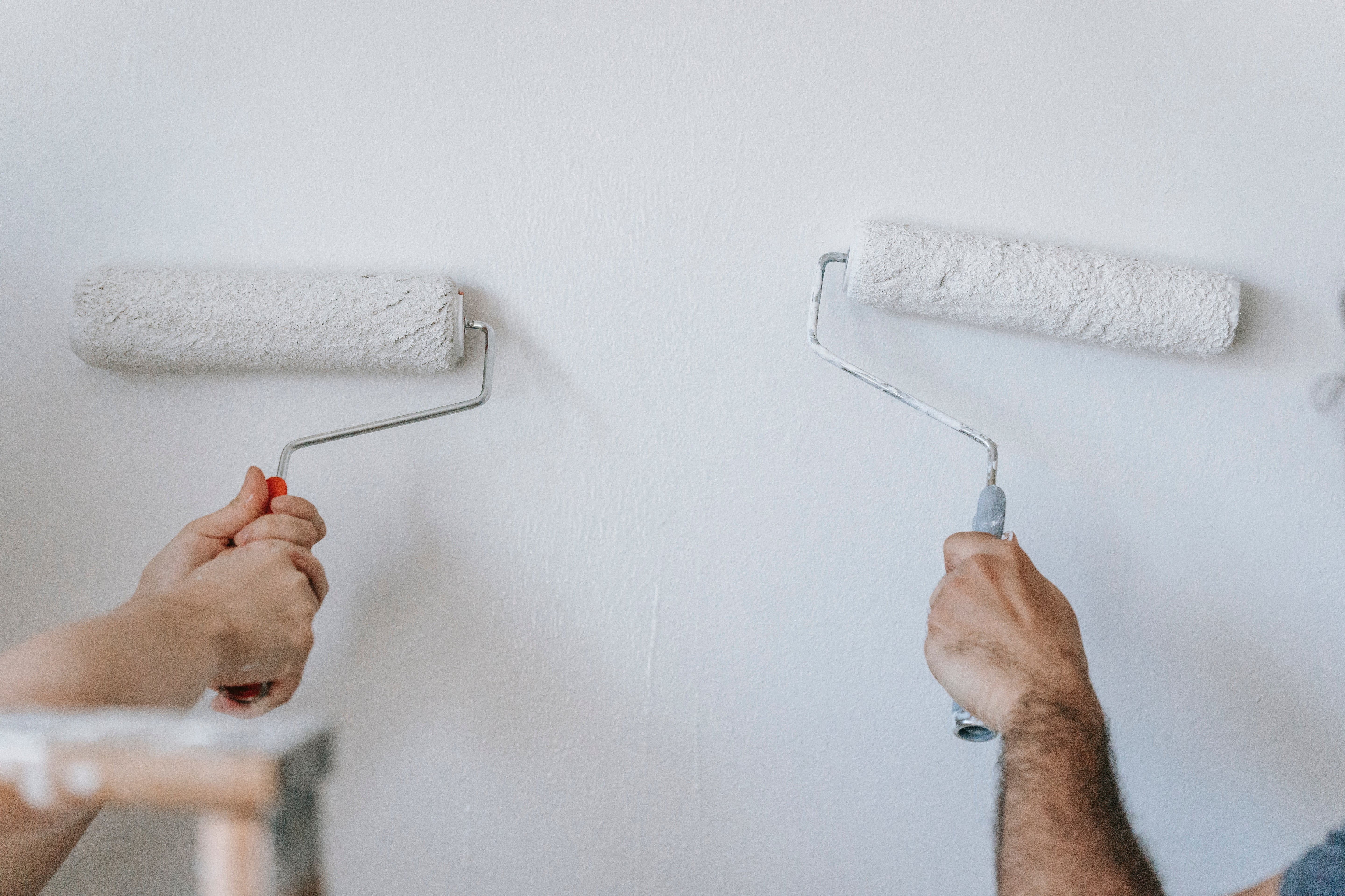 Painting Supplies & Wall Treatments
