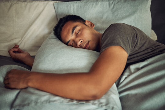 Sleep & Lounge
