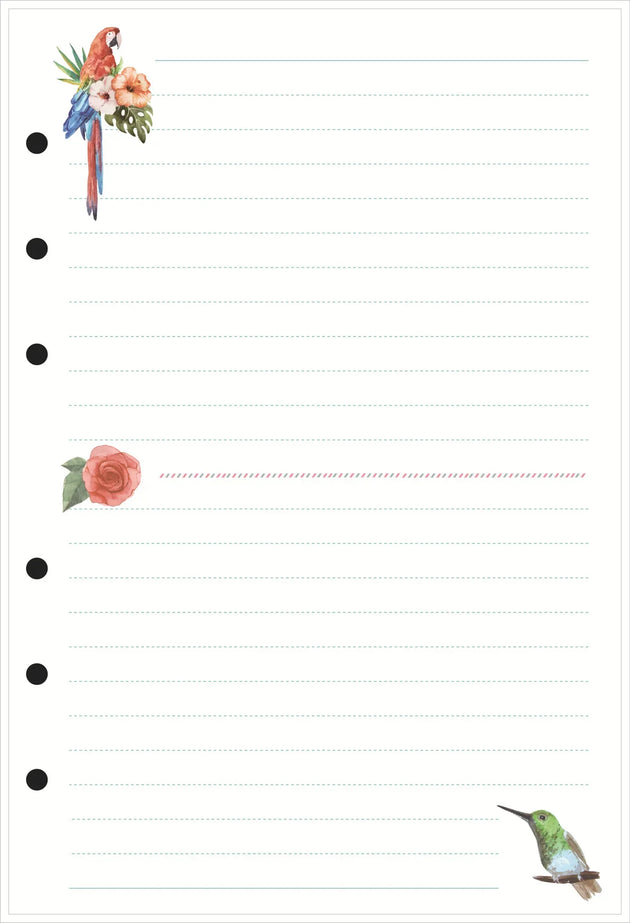 47596713115984|47596713148752|47596713181520