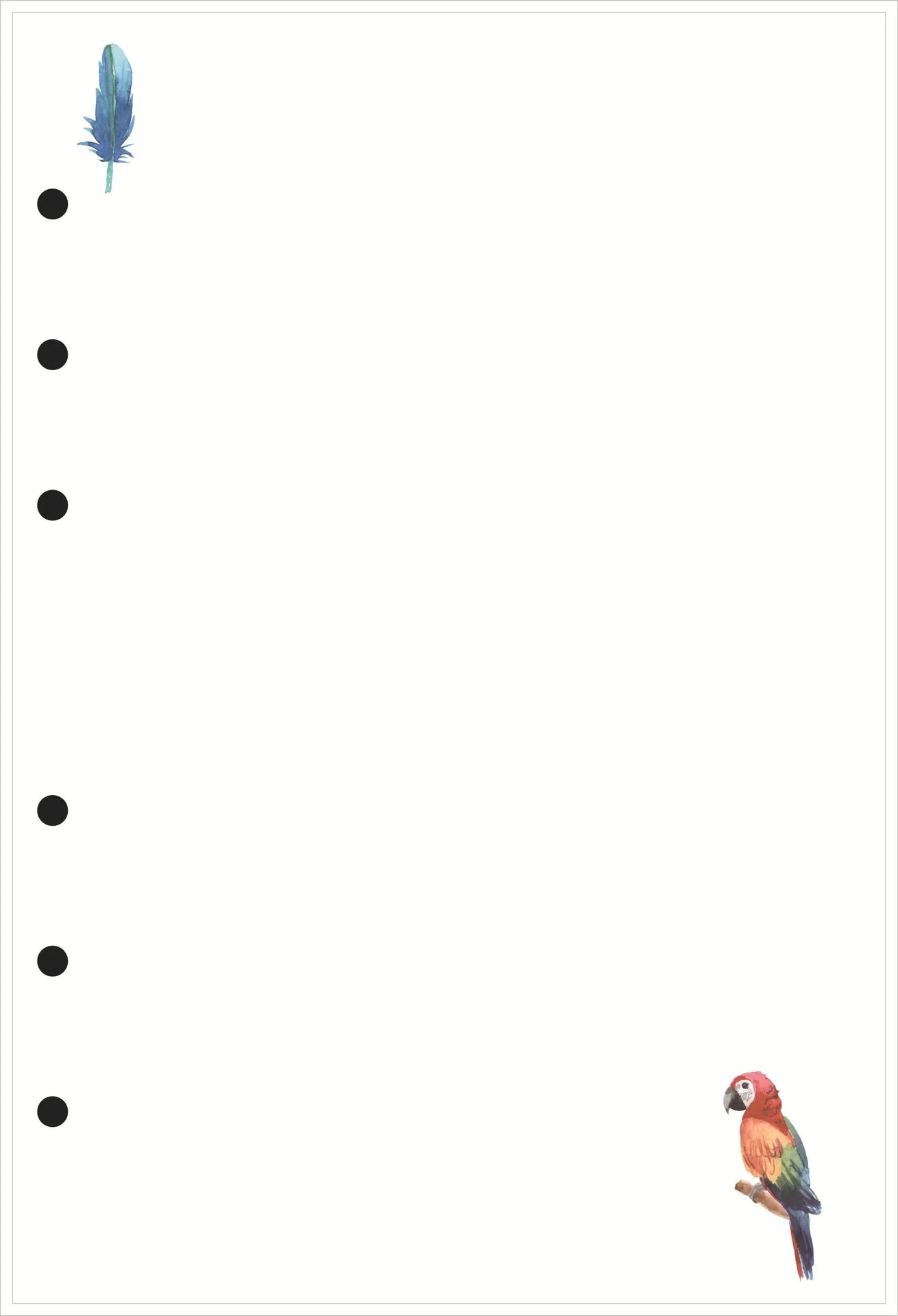 47596713410896|47596713443664|47596713476432