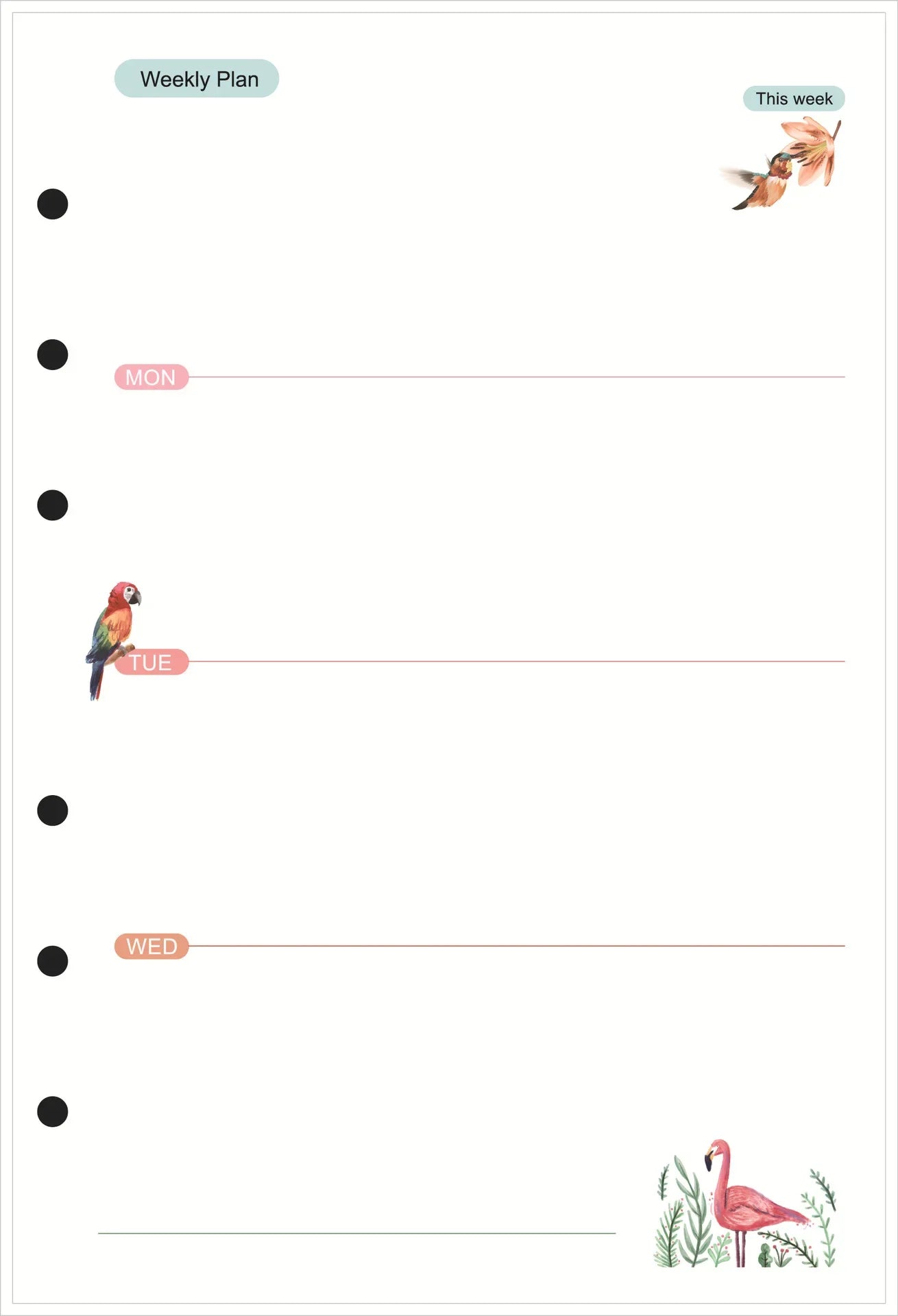 47596713607504|47596713640272|47596713673040