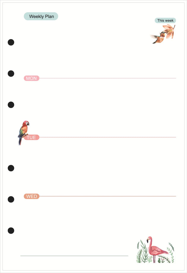 47596713607504|47596713640272|47596713673040