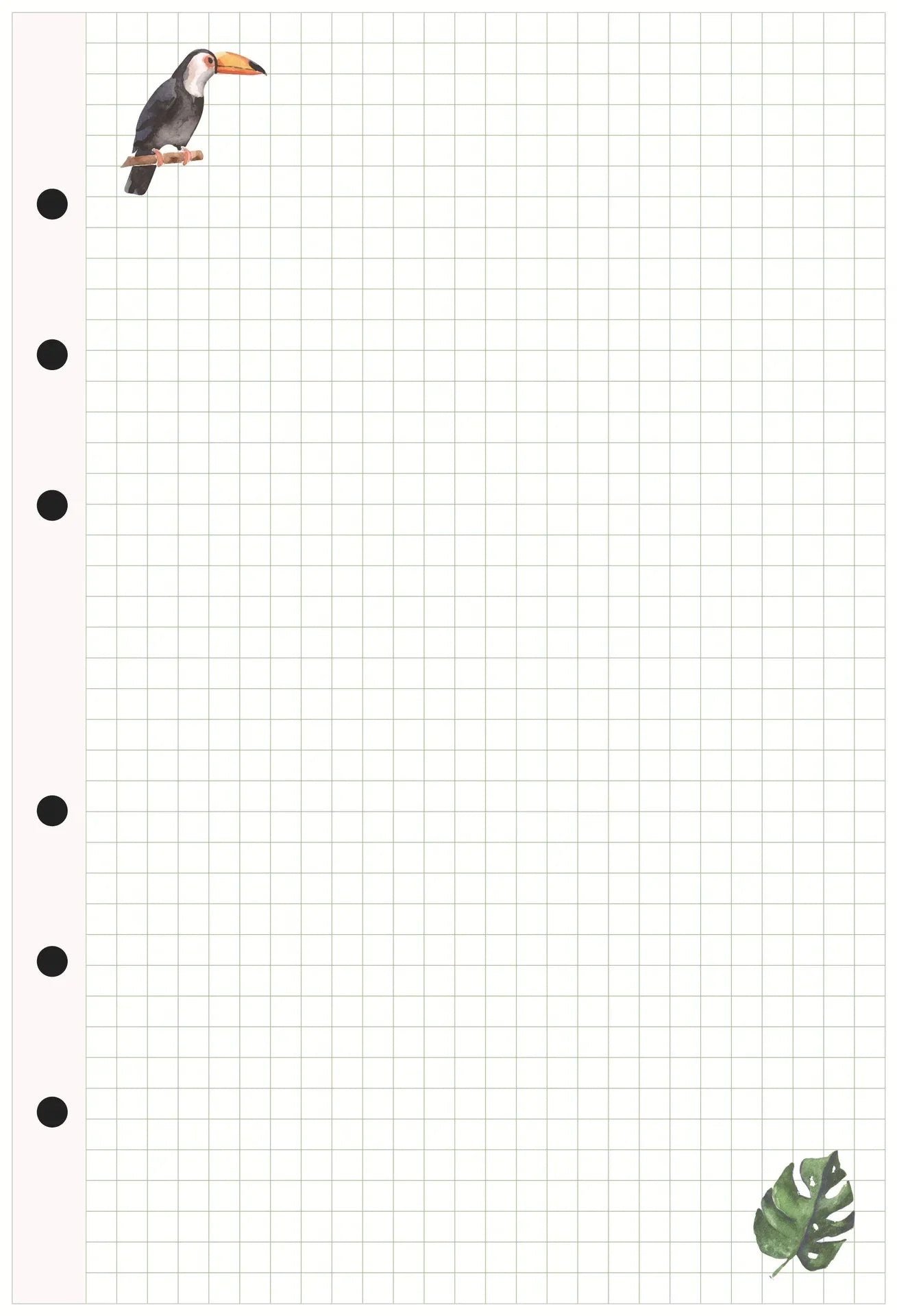 47596713312592|47596713345360|47596713378128