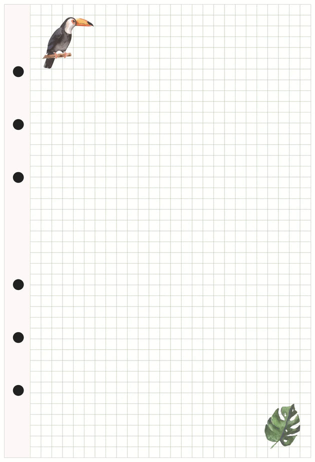 47596713312592|47596713345360|47596713378128